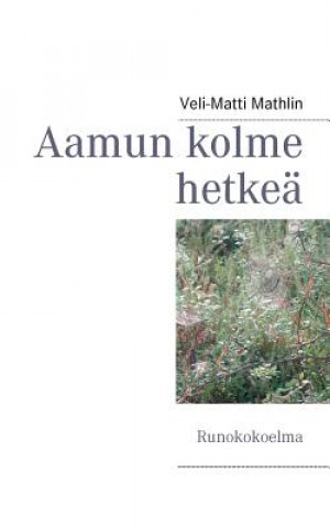 Kniha Aamun kolme hetkea Veli-Matti Mathlin