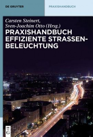 Książka Praxishandbuch effiziente Strassenbeleuchtung Carsten Steinert