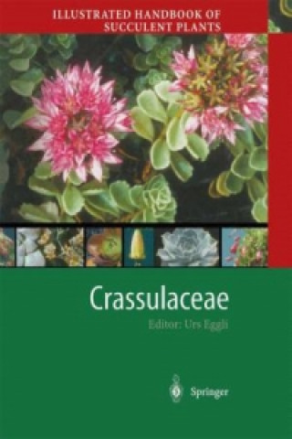 Könyv Illustrated Handbook of Succulent Plants: Crassulaceae Urs Eggli