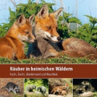 Könyv Räuber in heimischen Wäldern Klaus Borrmann