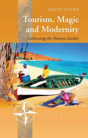 Kniha Tourism, Magic and Modernity Dr. David Picard