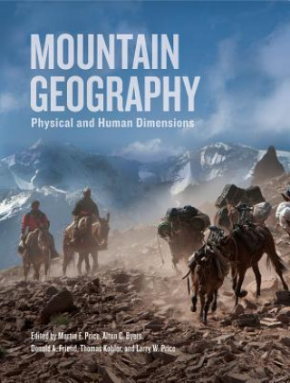 Kniha Mountain Geography Martin F Price