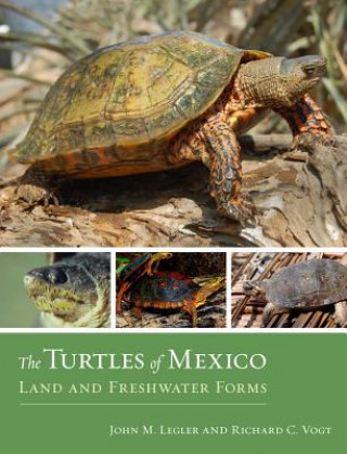 Carte Turtles of Mexico John M Legler