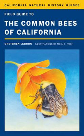 Kniha Field Guide to the Common Bees of California Gretchen LeBuhn