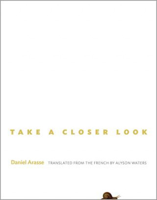 Kniha Take a Closer Look Daniel Arasse