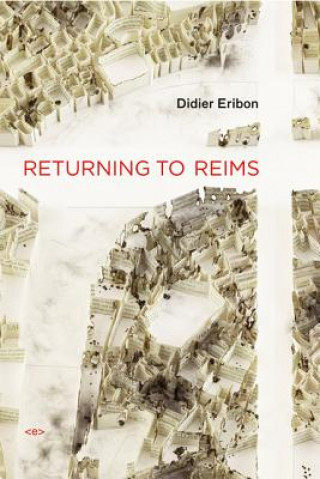 Könyv Returning to Reims Didier Eribon