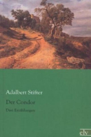 Kniha Der Condor Adalbert Stifter