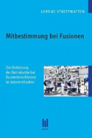 Kniha Mitbestimmung bei Fusionen Lorenz Strittmatter