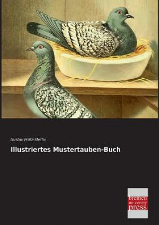 Kniha Illustriertes Mustertauben-Buch Gustav Prütz-Stettin