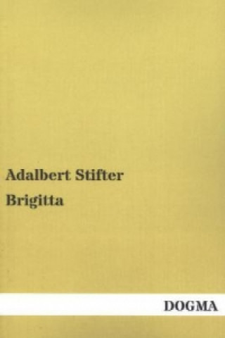 Kniha Brigitta Adalbert Stifter