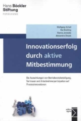Book Innovationserfolg durch aktive Mitbestimmung Wolfgang Scholl