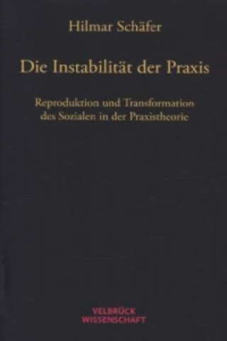 Carte Die Instabilität der Praxis Hilmar Schäfer