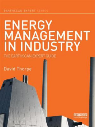 Könyv Energy Management in Industry David Thorpe