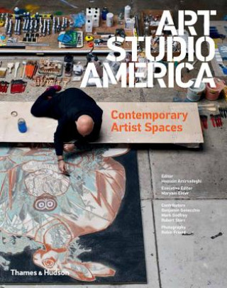 Книга Art Studio America Hossein Amirsedeghi