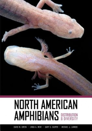 Kniha North American Amphibians Greene