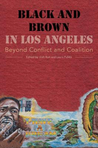 Книга Black and Brown in Los Angeles Kun