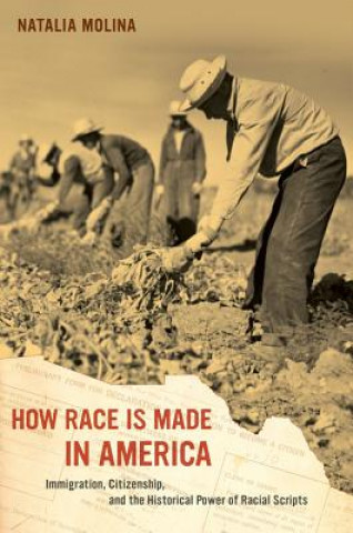 Carte How Race Is Made in America Molina