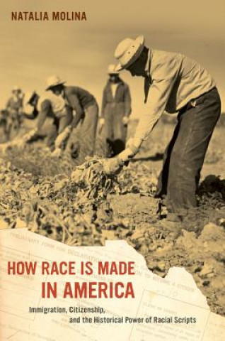 Knjiga How Race Is Made in America Molina