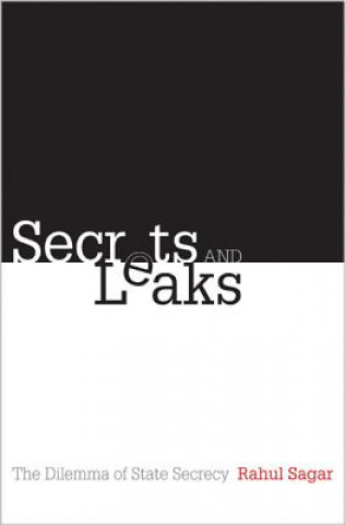 Kniha Secrets and Leaks Sagar