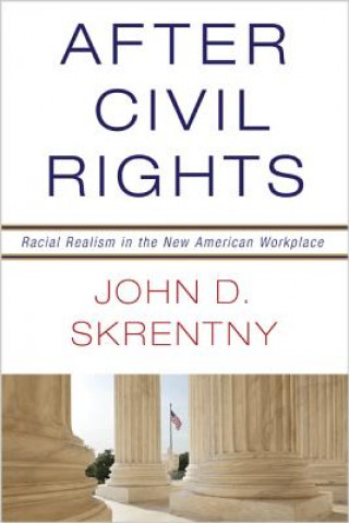 Книга After Civil Rights Skrentny