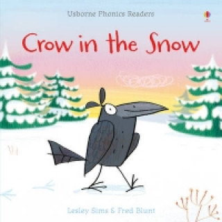 Book Crow in the Snow Lesley Sims