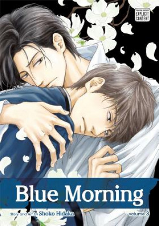 Knjiga Blue Morning, Vol. 3 Shouko Hidaka