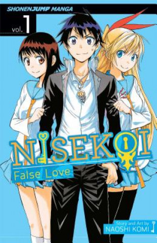 Knjiga Nisekoi: False Love, Vol. 1 Naoshi Komi