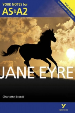 Könyv Jane Eyre: York Notes for AS & A2 Karen Sayer
