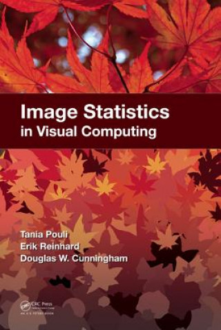 Книга Image Statistics in Visual Computing Tania Pouli