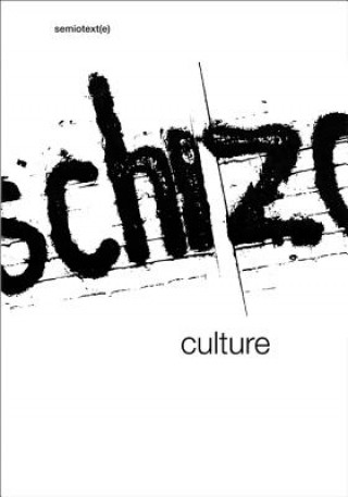 Carte Schizo-Culture Sylvčre Lotringer & David Morris