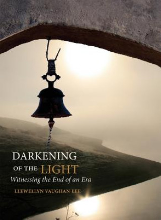 Kniha Darkening of the Light Llewellyn Vaughan Lee