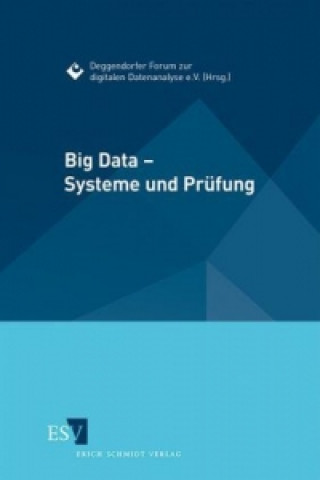 Kniha Big Data - Systeme und Prüfung Oliver Derksen