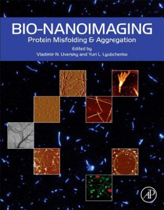 Könyv Bio-nanoimaging Vladimir Uversky
