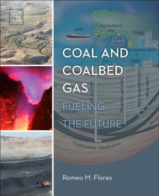 Libro Coal and Coalbed Gas Romeo Flores