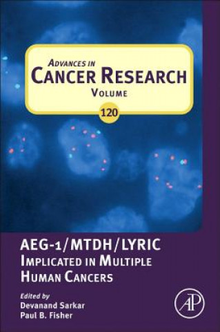 Könyv Advances in Cancer Research Devanand Sarkar