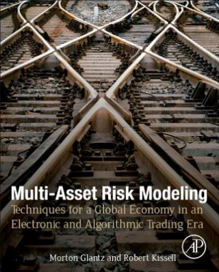 Kniha Multi-Asset Risk Modeling Morton Glantz