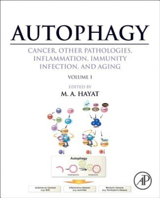 Carte Autophagy: Cancer, Other Pathologies, Inflammation, Immunity, Infection, and Aging M Hayat