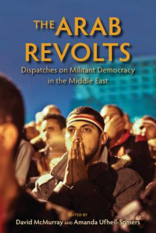 Kniha Arab Revolts David McMurray