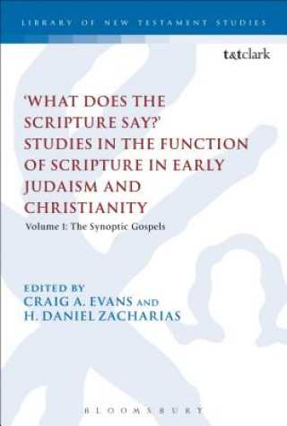 Carte What Does the Scripture Say?' Studies in the Function of Scripture in Early Judaism and Christianity Craig A Evans