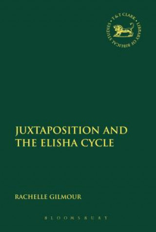 Książka Juxtaposition and the Elisha Cycle Rachelle Gilmour