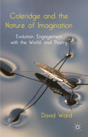 Książka Coleridge and the Nature of Imagination David Ward