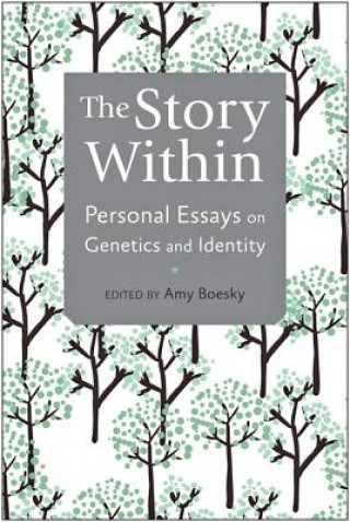 Livro Story Within Amy Boesky