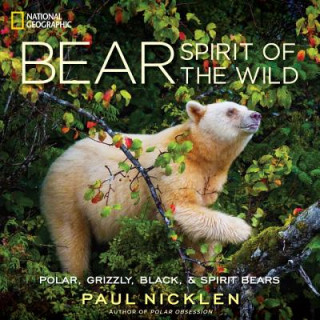 Kniha Bear Paul Nicklen