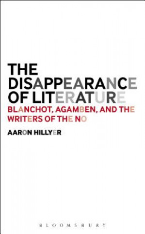 Kniha Disappearance of Literature Aaron Hillyer