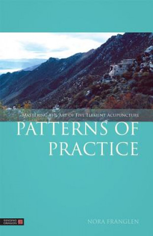 Kniha Patterns of Practice Nora Franglen