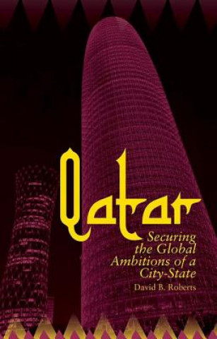 Kniha Qatar David B Roberts