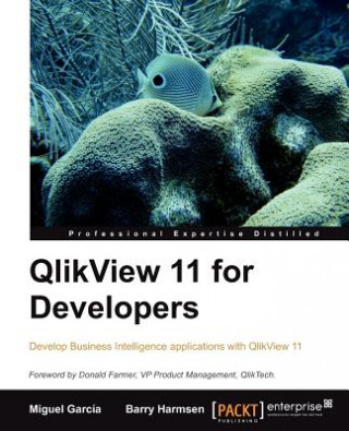 Könyv QlikView 11 for Developers B Harmsen