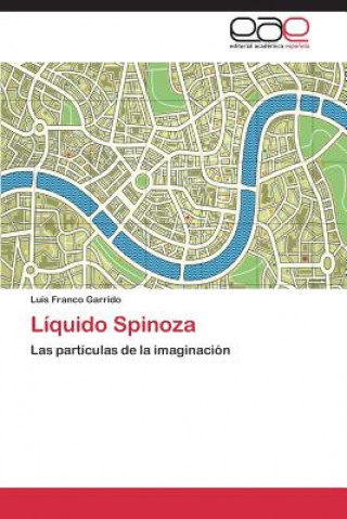 Carte Liquido Spinoza Luis Franco Garrido