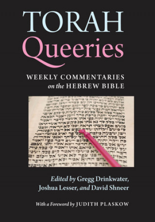 Könyv Torah Queeries David Shneer