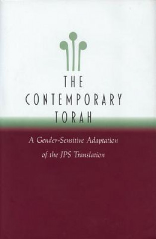 Buch Contemporary Torah David ES Stein